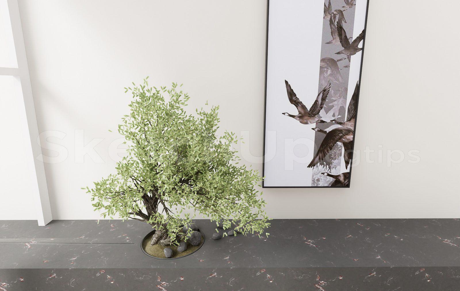 BonSai Tree