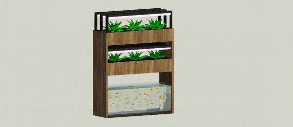 Modern Aquaponic