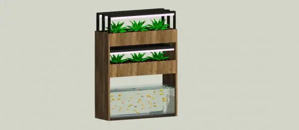 Modern Aquaponic