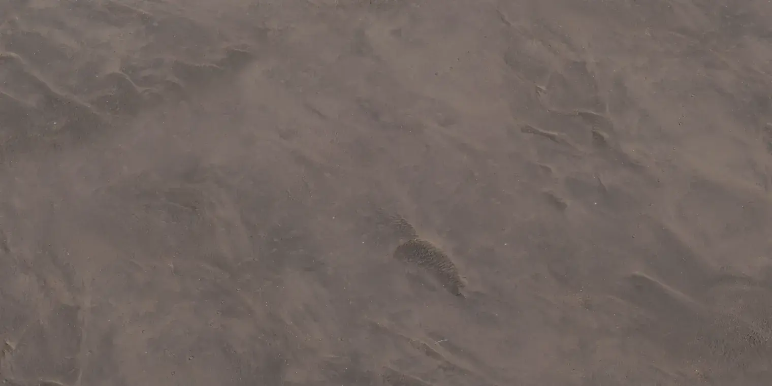 Aerial Beach 2
