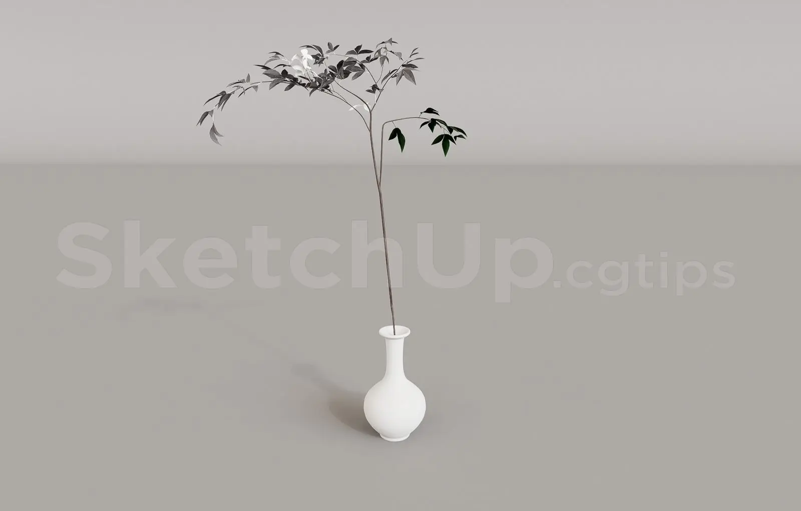 Plant