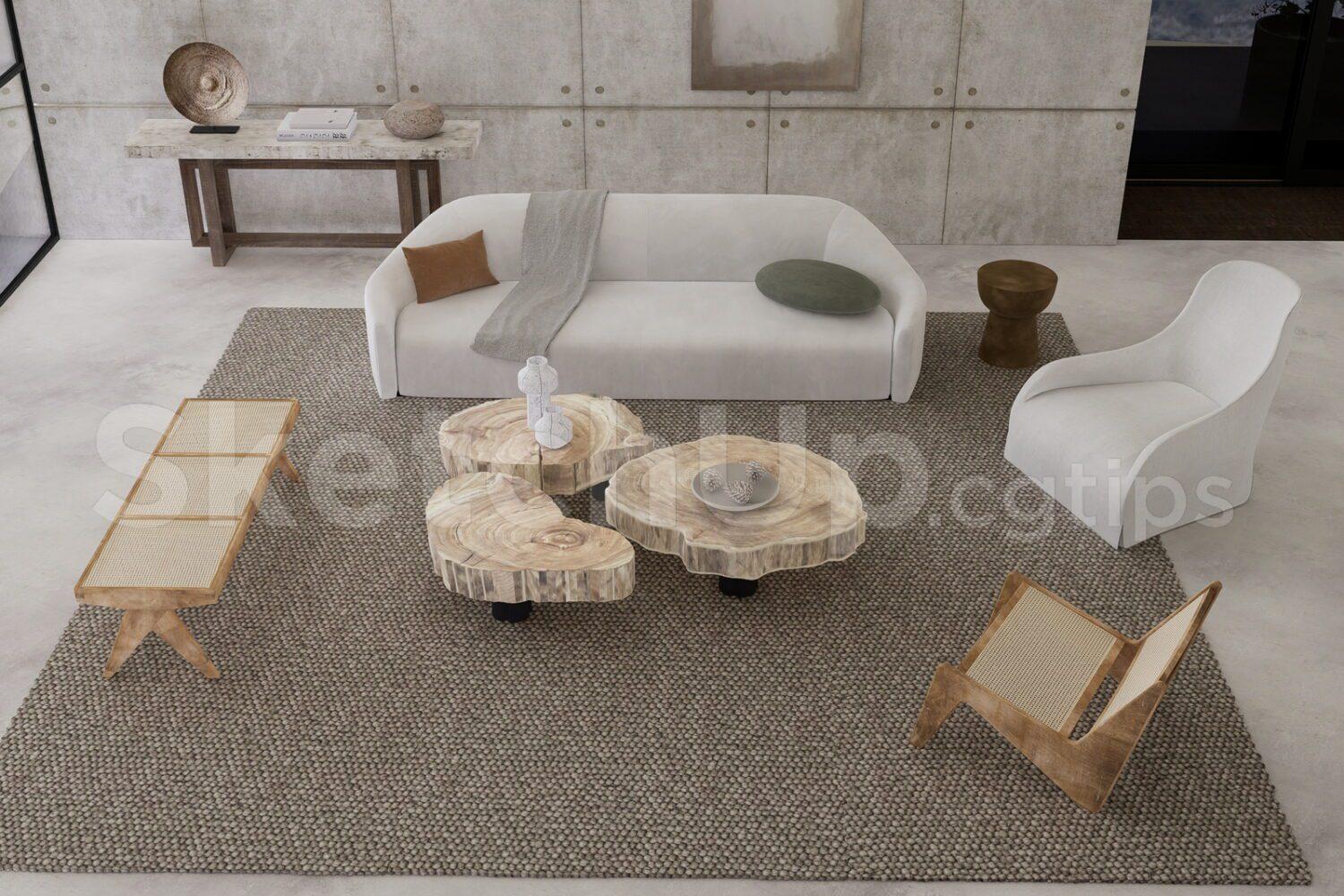 Living Room Interior