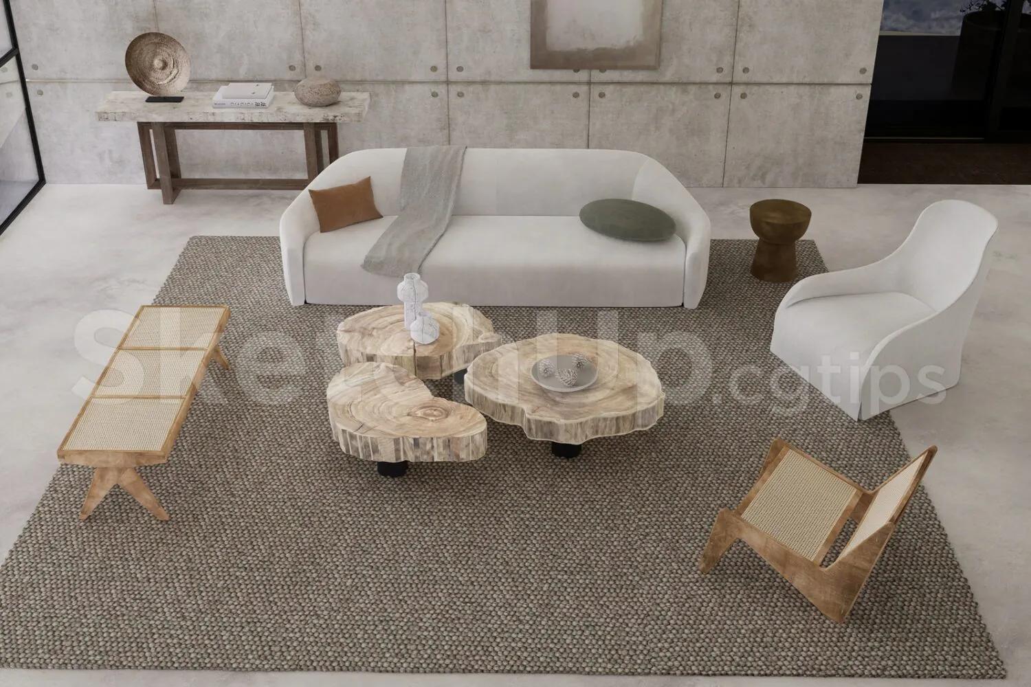 Living Room Interior