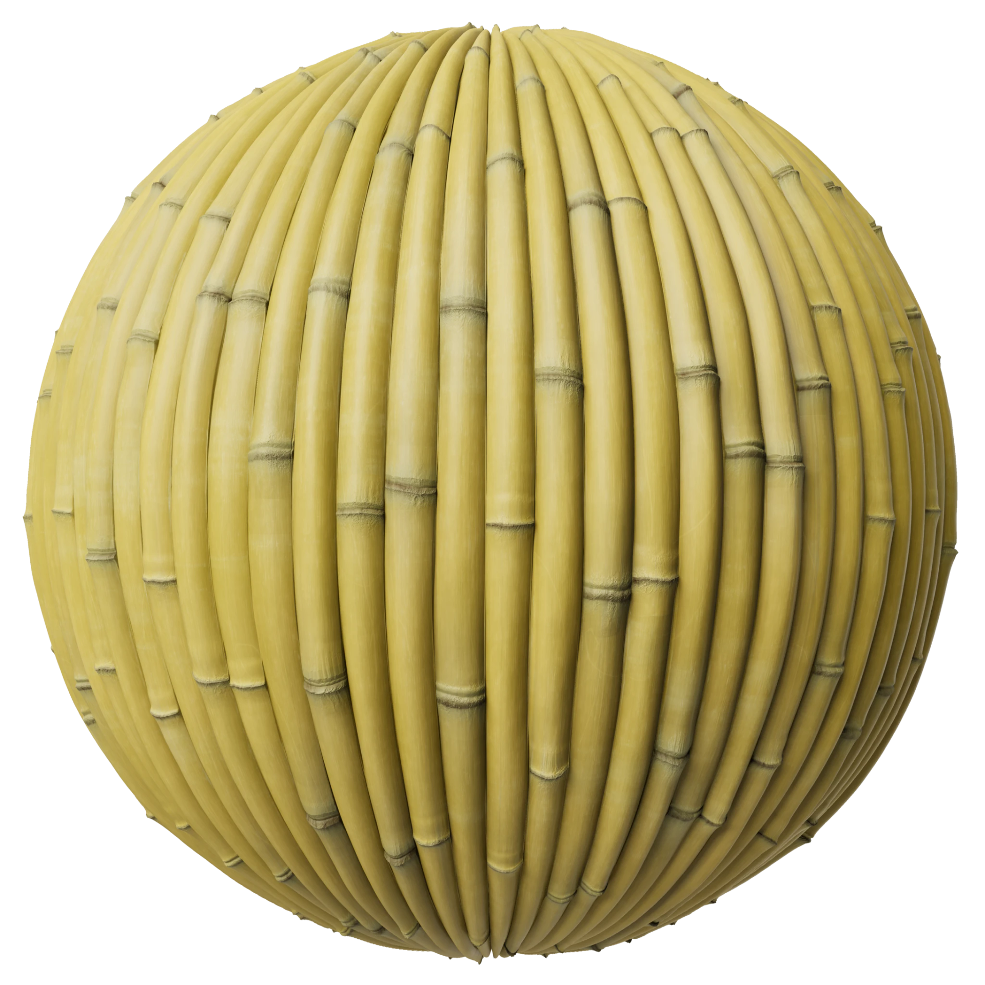 Bamboo 001 B
