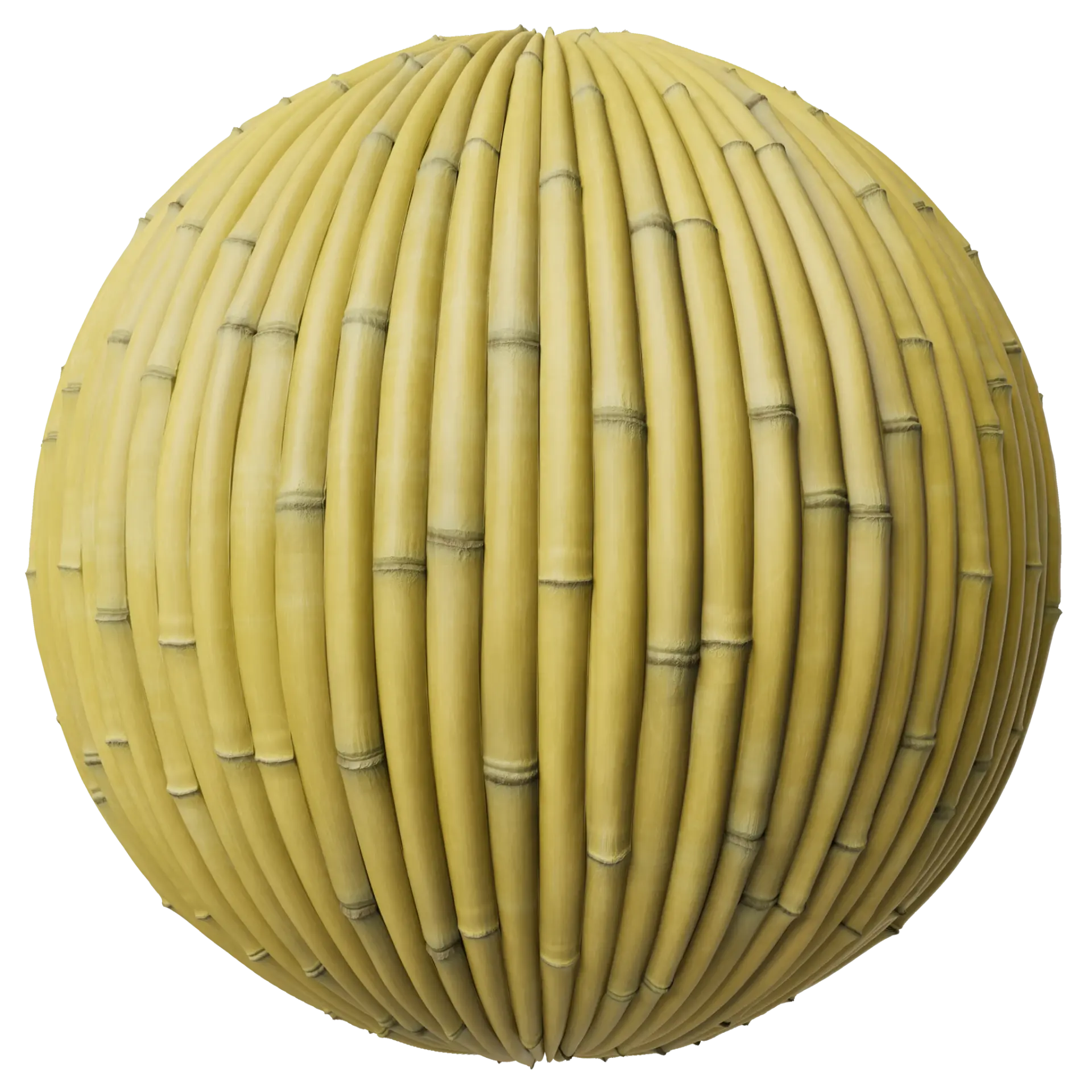 Bamboo 001 B