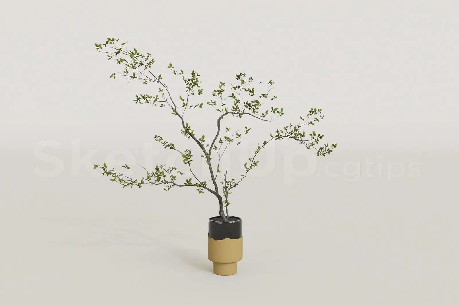 Plant — preview 1 (cgtips, CC0)