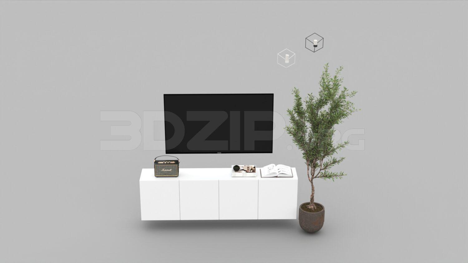 TV
