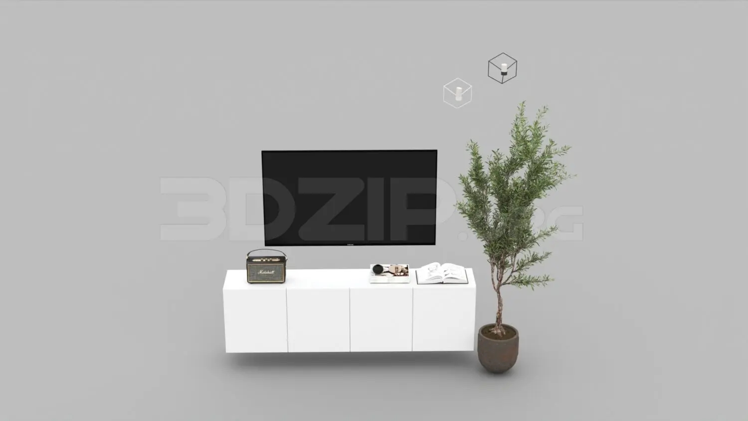 TV