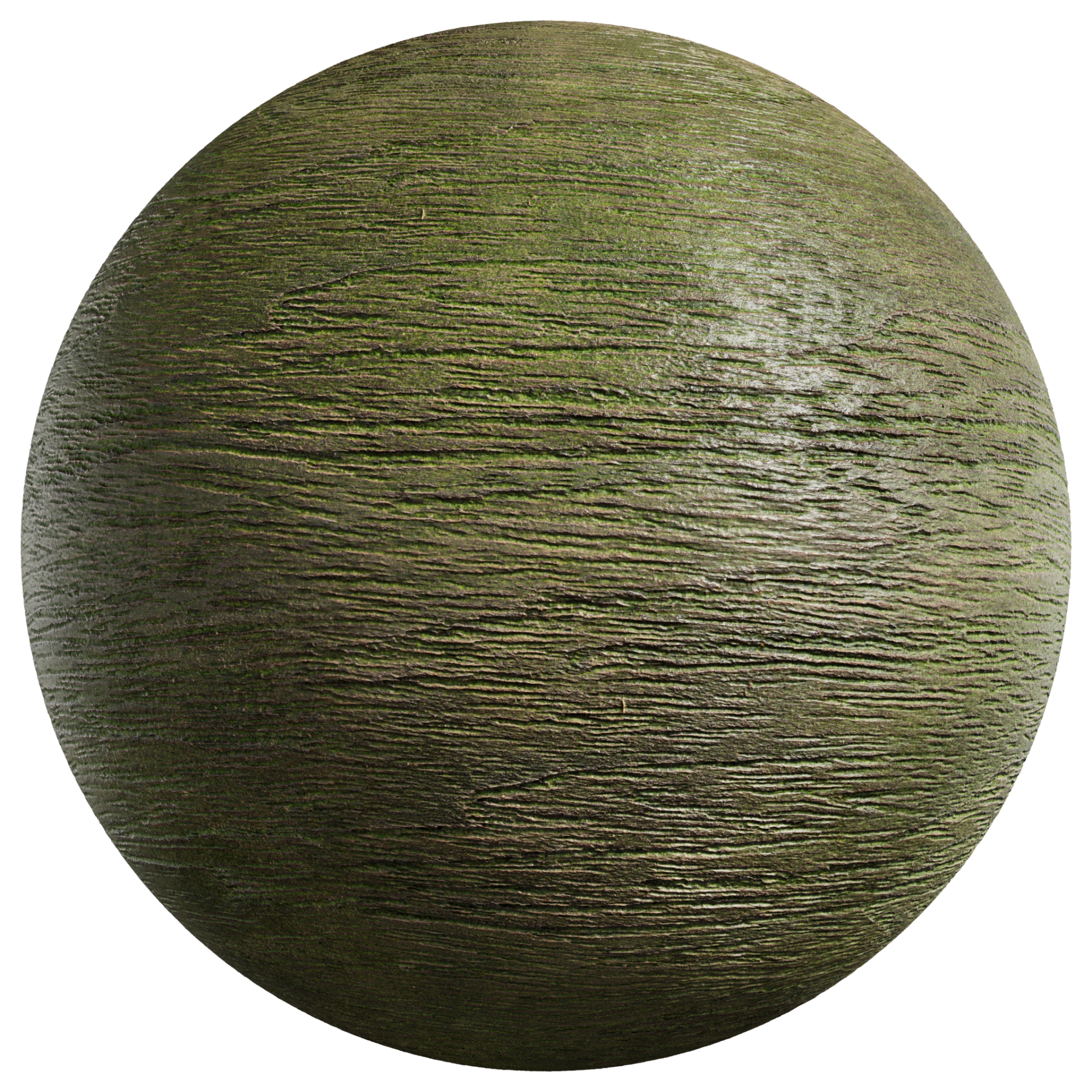 Wood 065