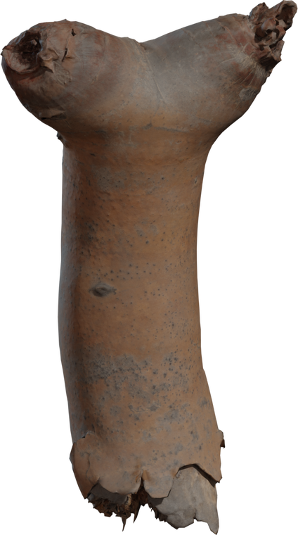 Dead Quiver Branch 2