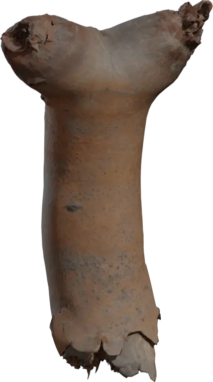 Dead Quiver Branch 2