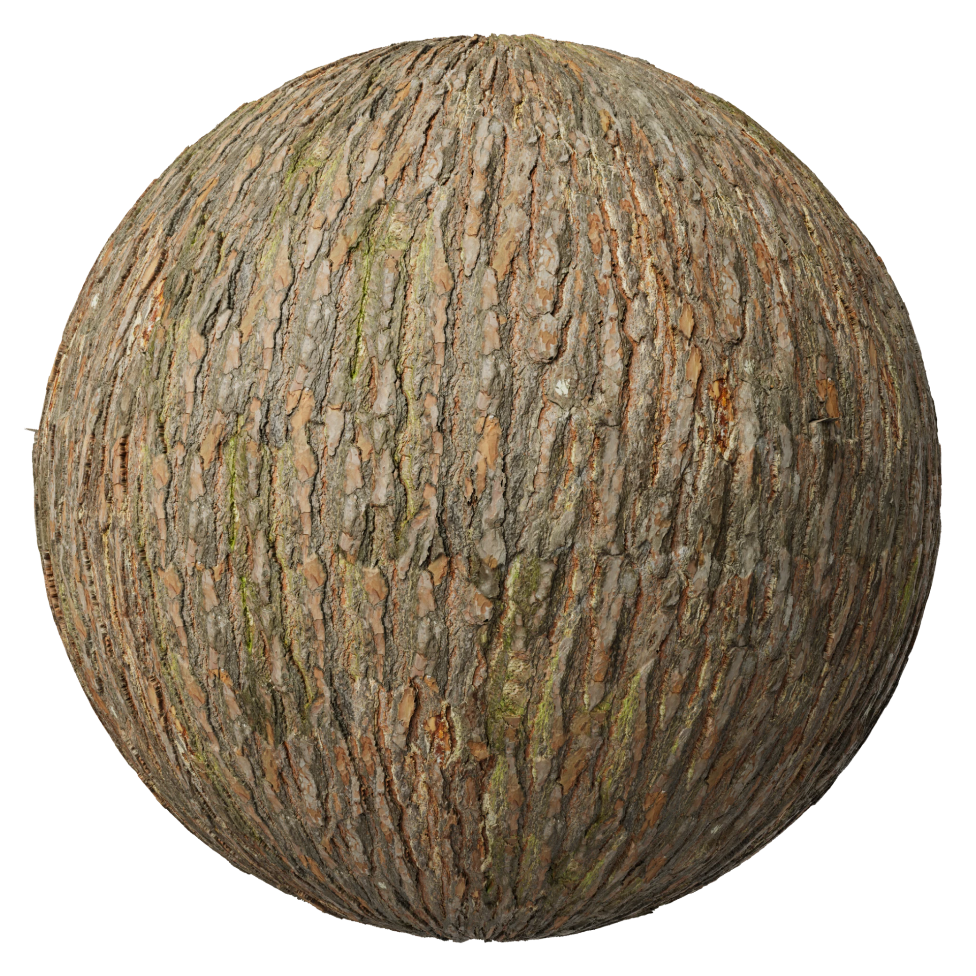 Bark 014