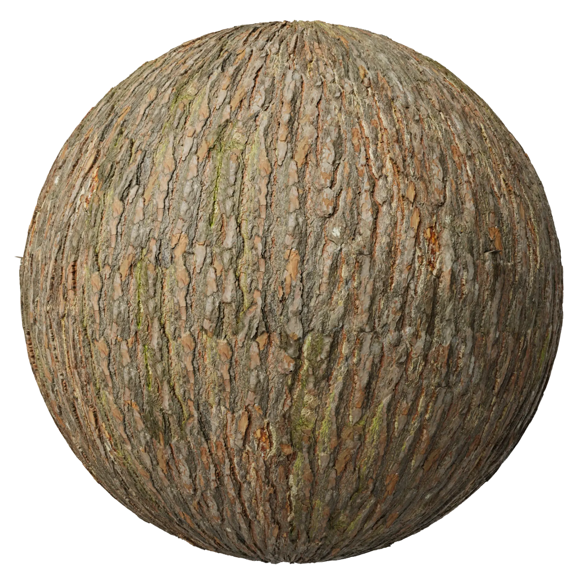 Bark 014