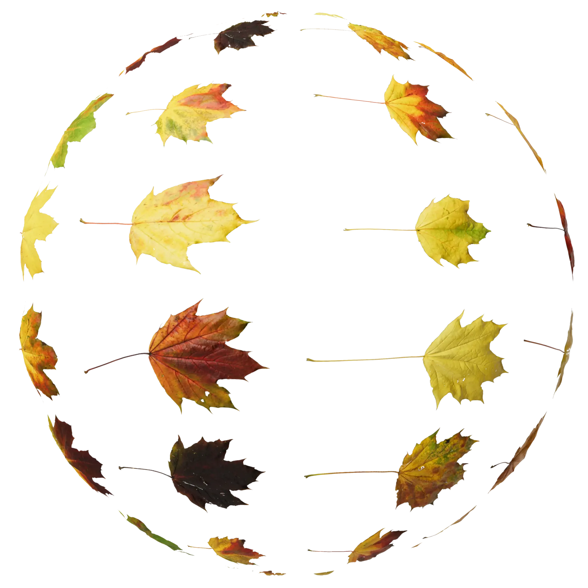 Leaf Set 028