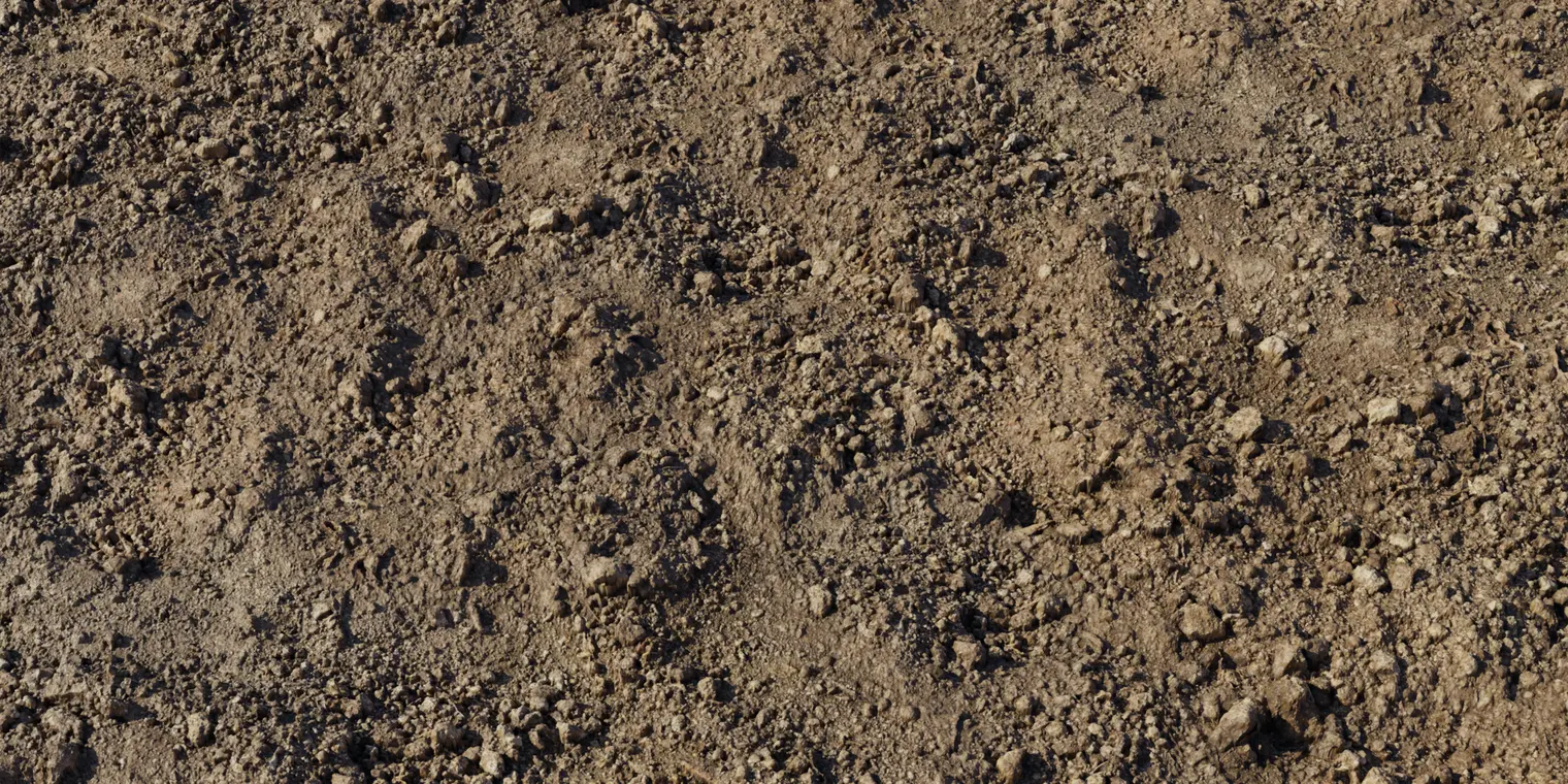 Brown Mud Dry