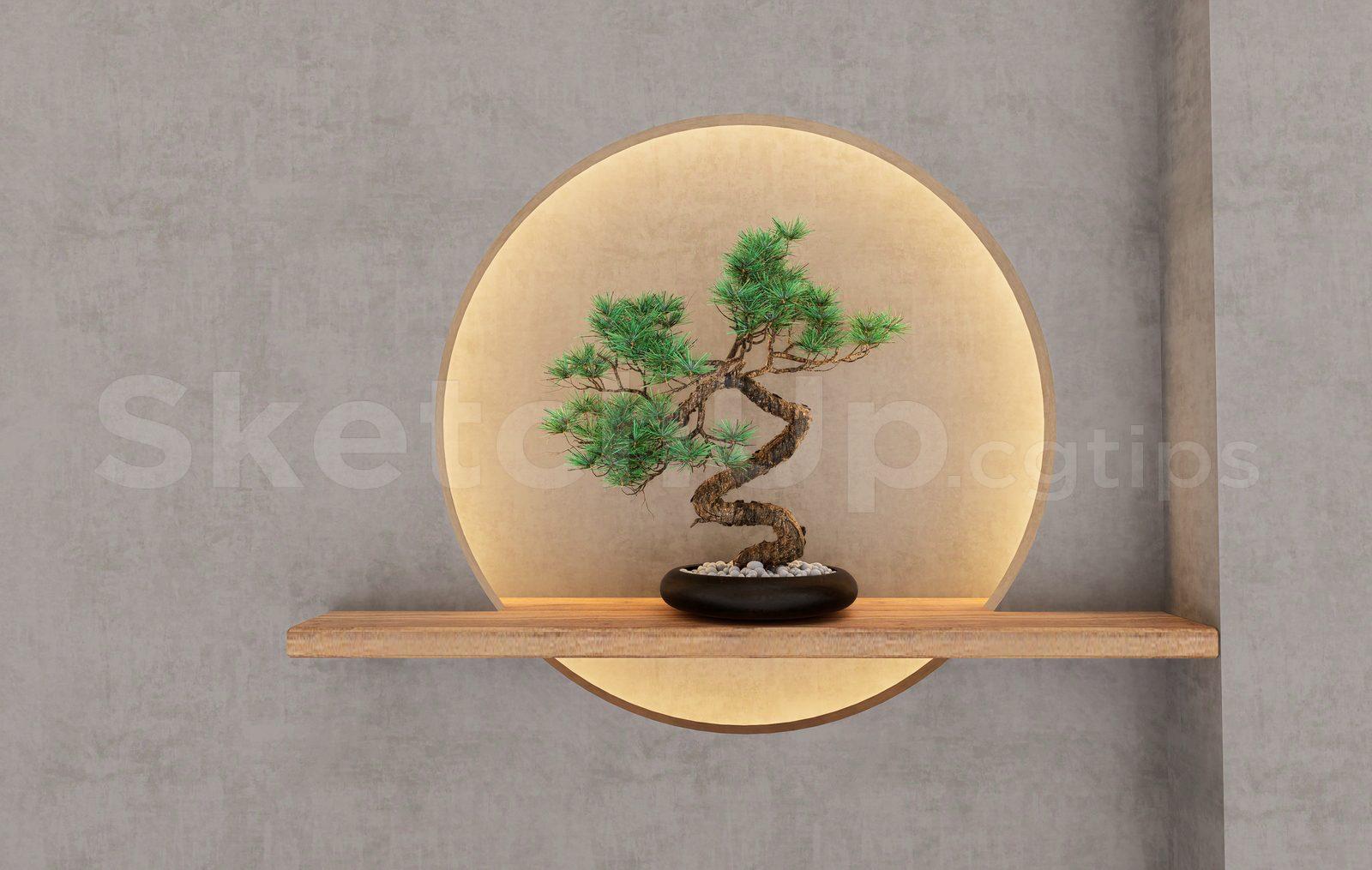 BonSai Tree