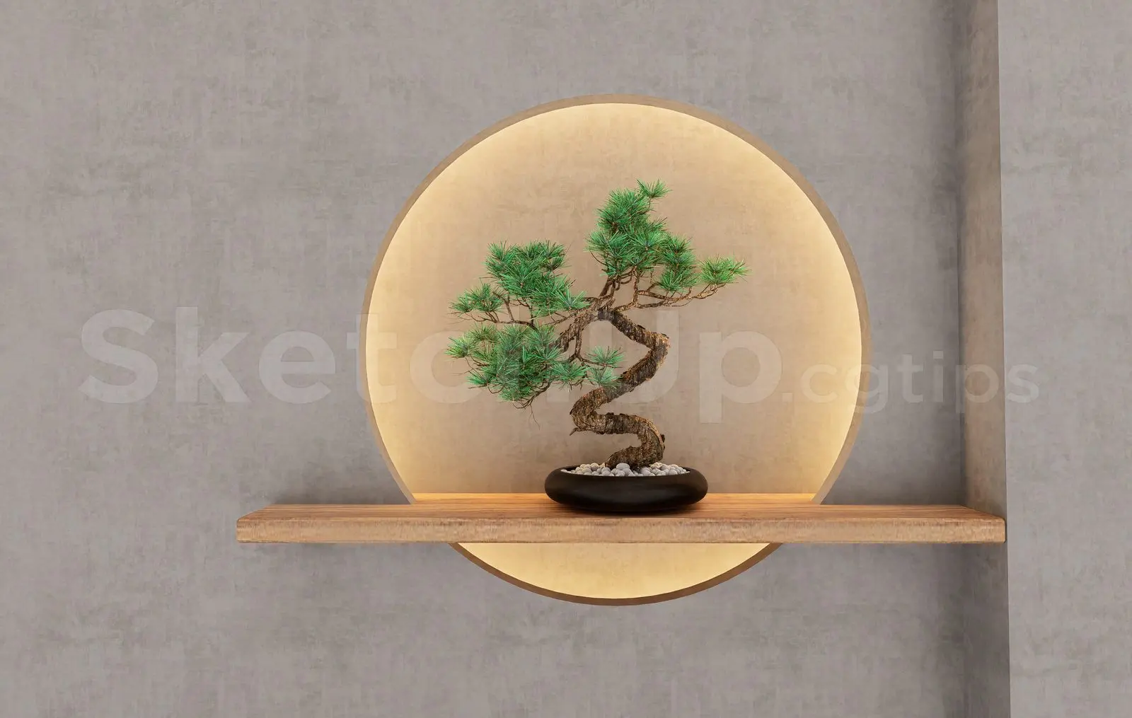 BonSai Tree