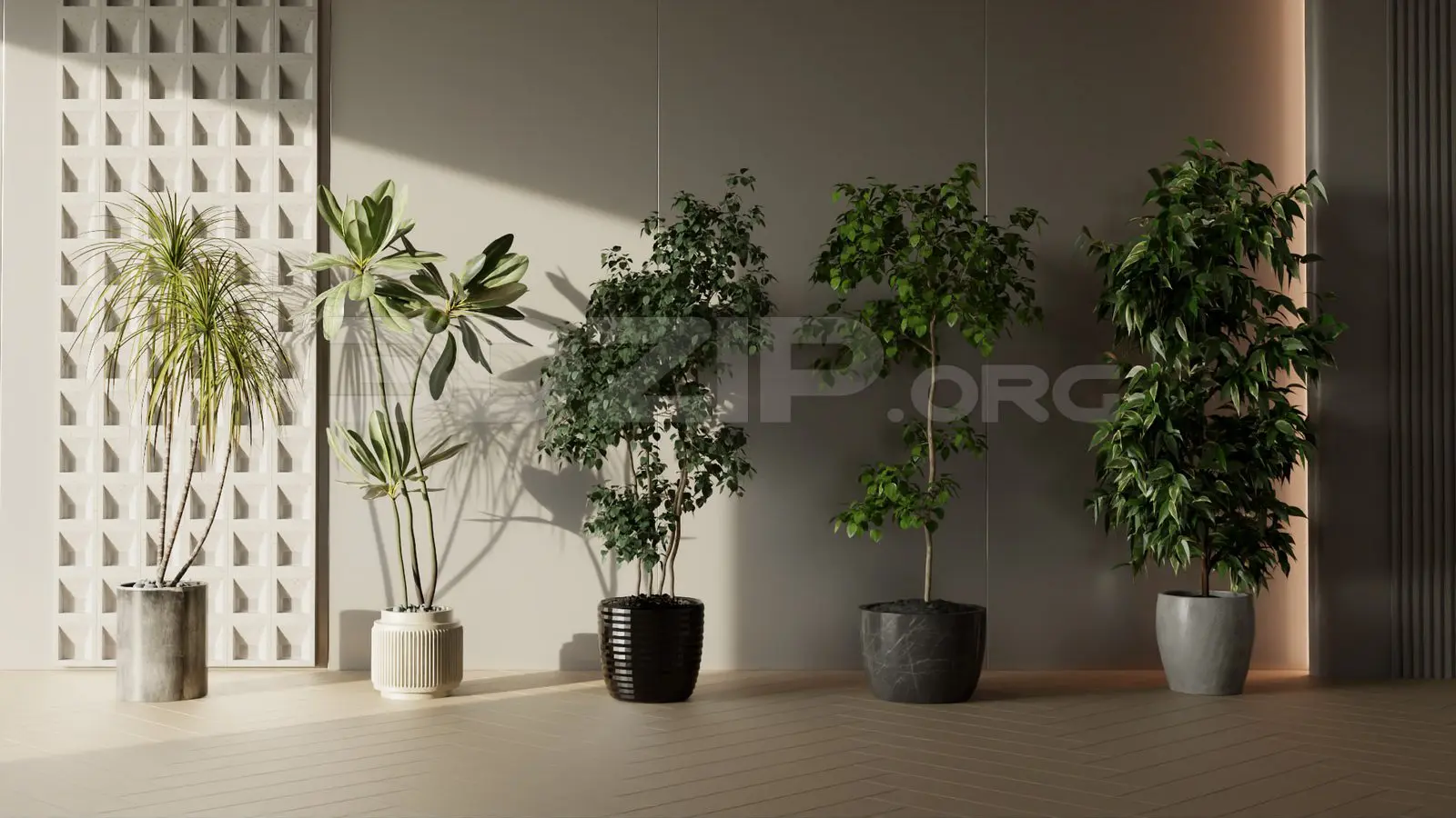 Plants