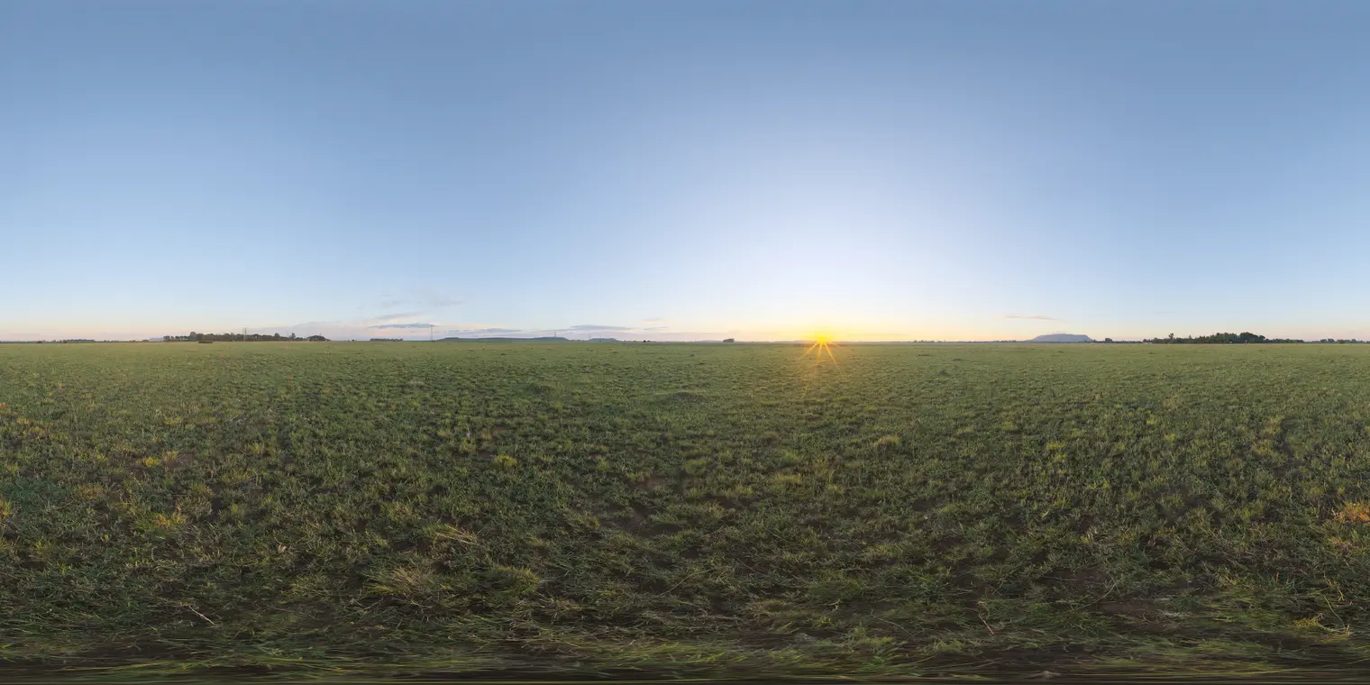 Bloem Field Sunrise