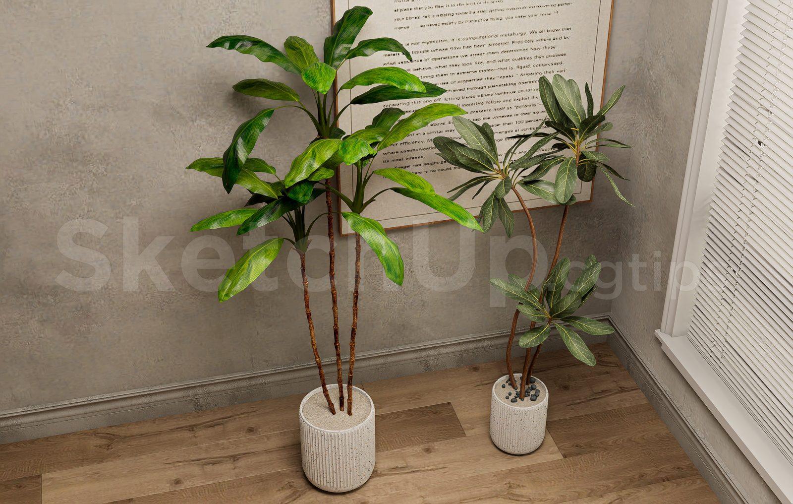 Plant