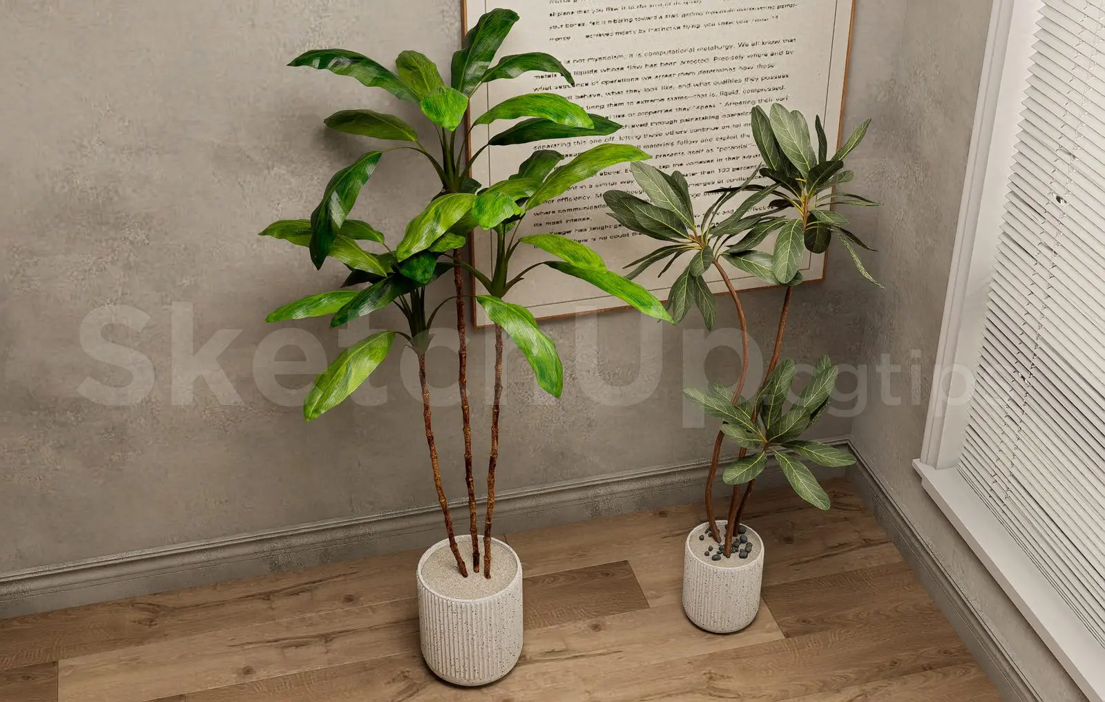 Plant