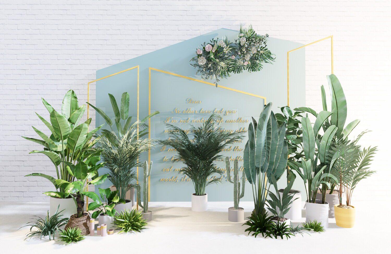 Event Decoration
