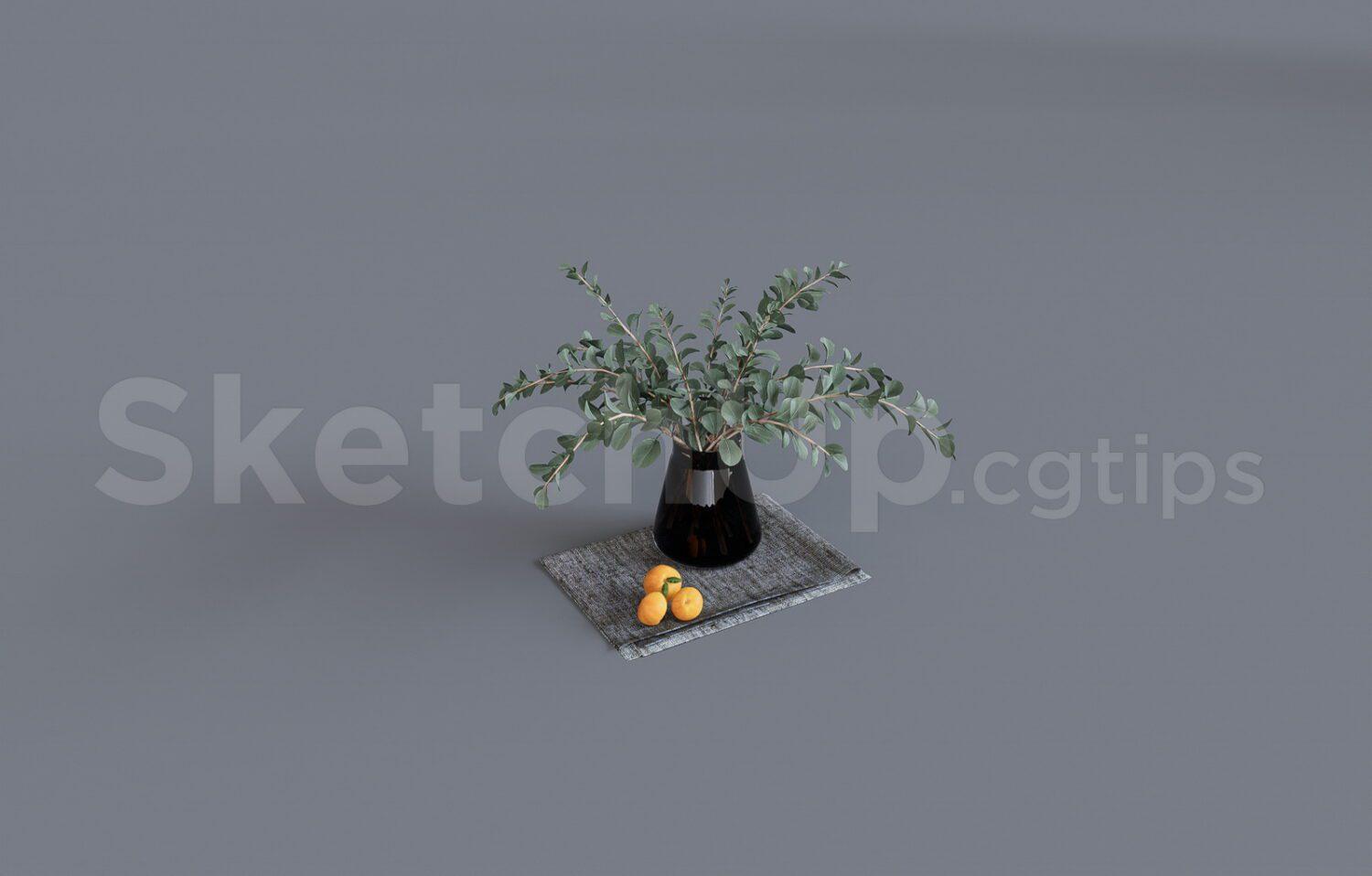 Plant