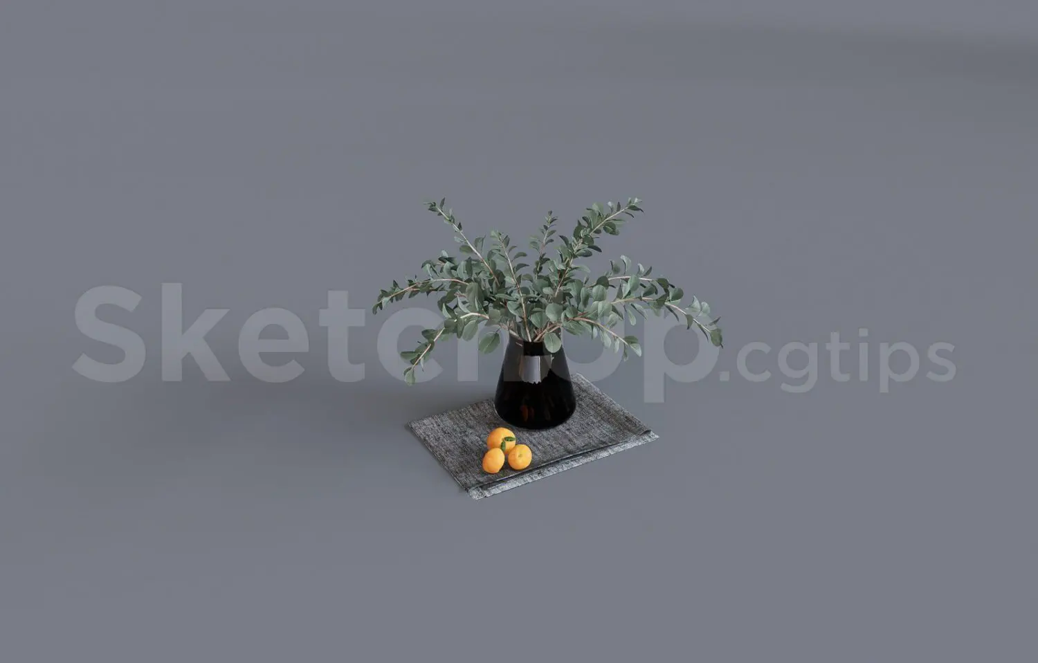 Plant