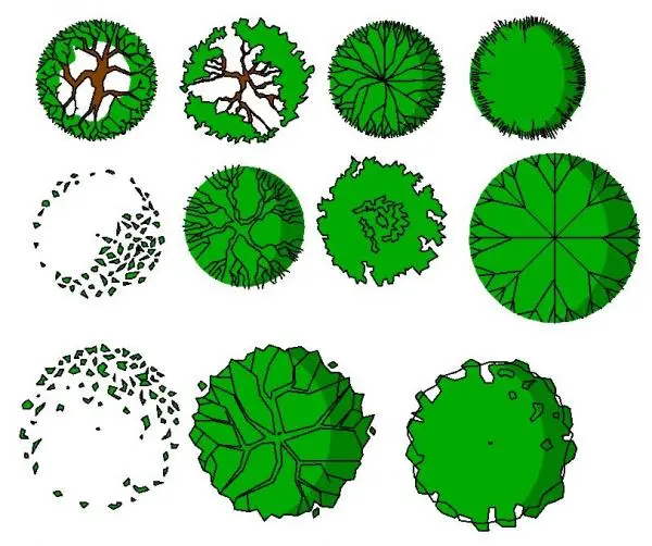 Akrimee_tree Plans