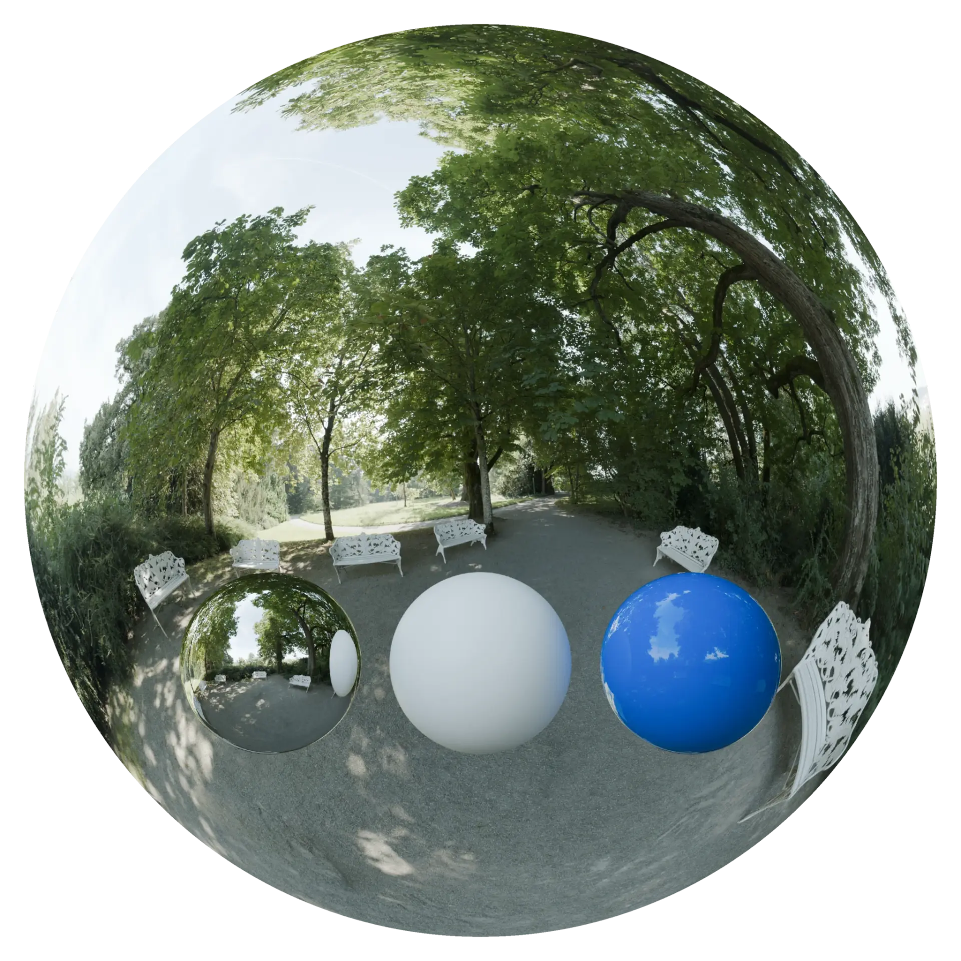 Day Environment HDRI 088