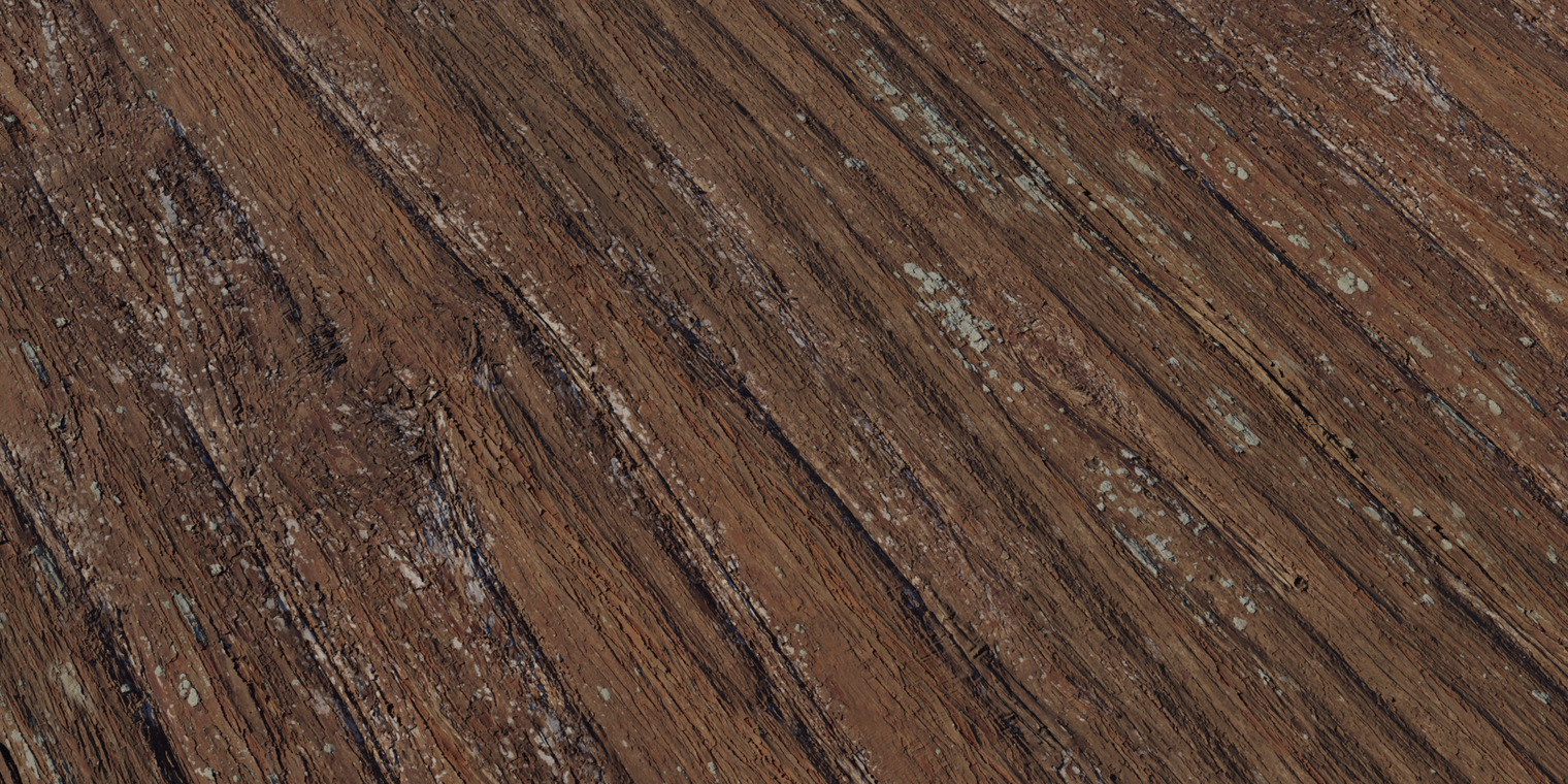 Metasequoia Bark