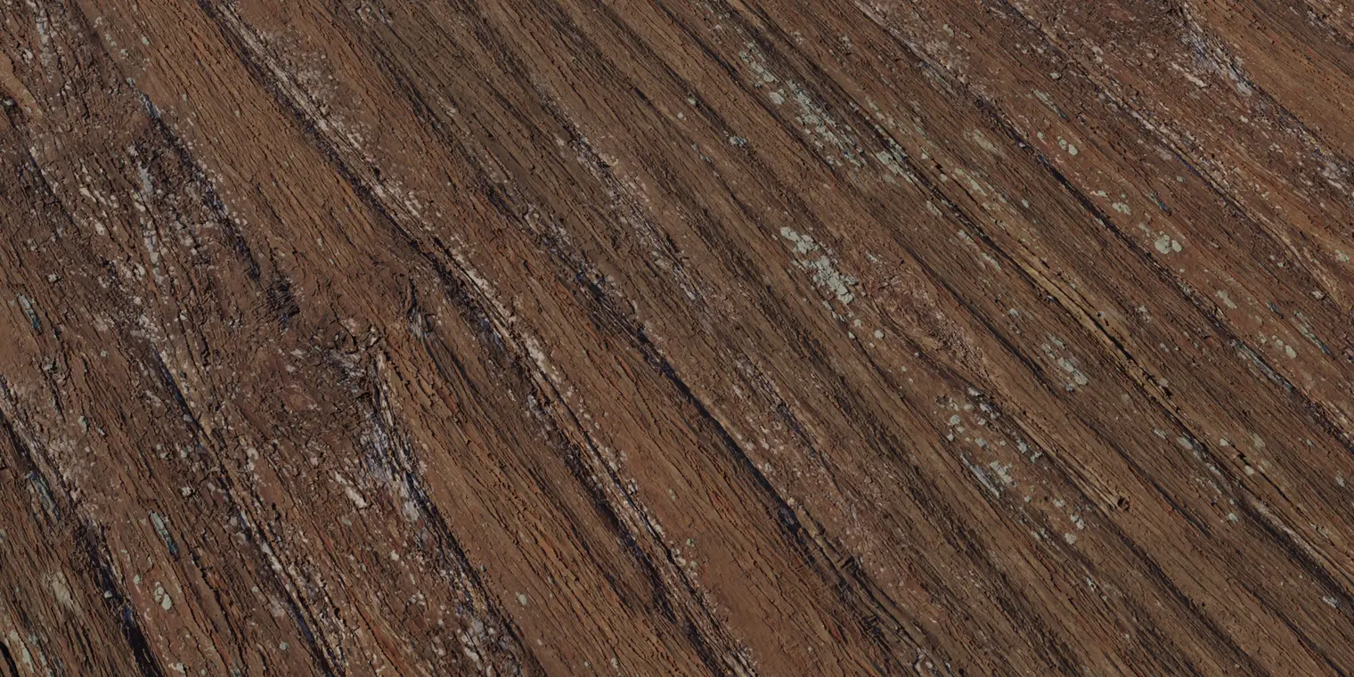 Metasequoia Bark — preview 1, by Charlotte Baglioni (Poly Haven, CC0)