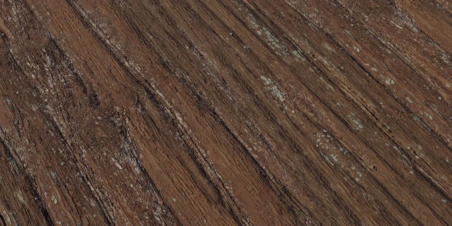 Metasequoia Bark