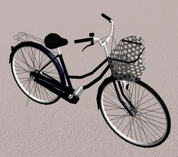 Bicycle Lady model
