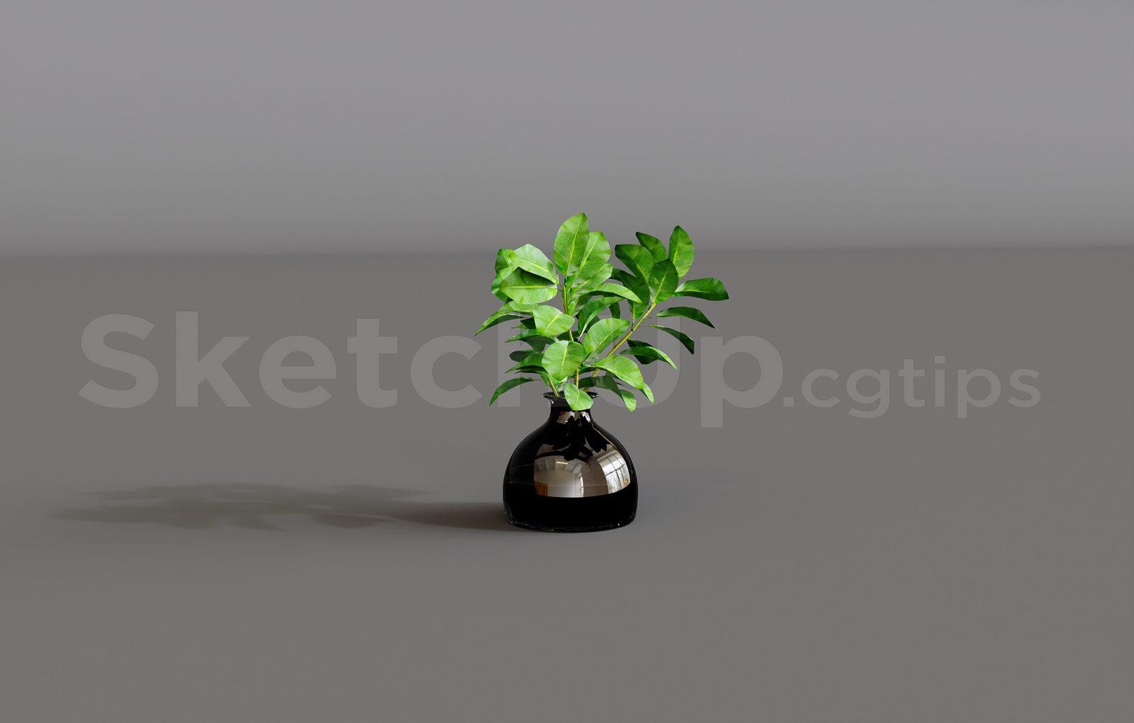 Plant