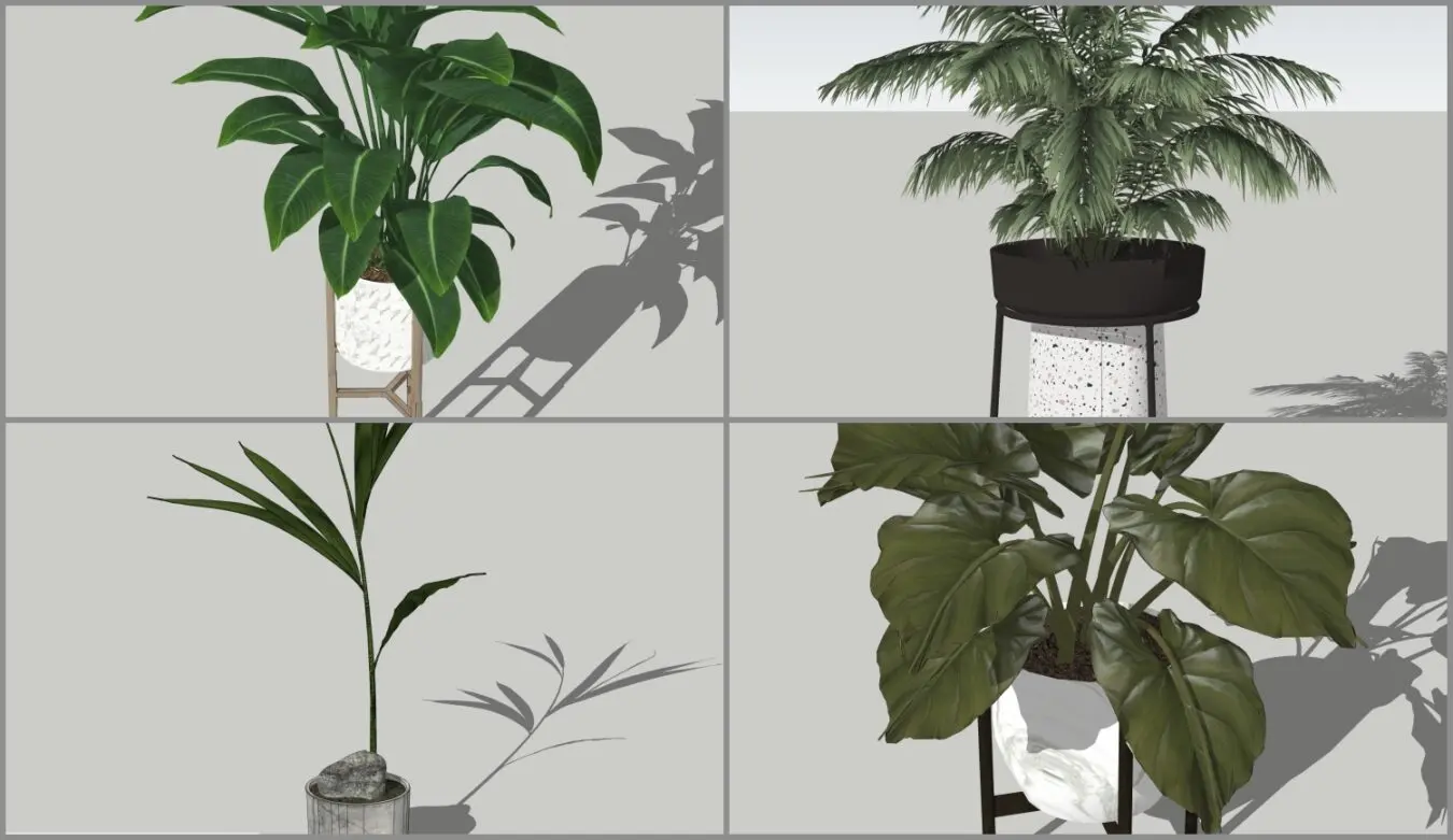 Plant — preview 1 (cgtips)
