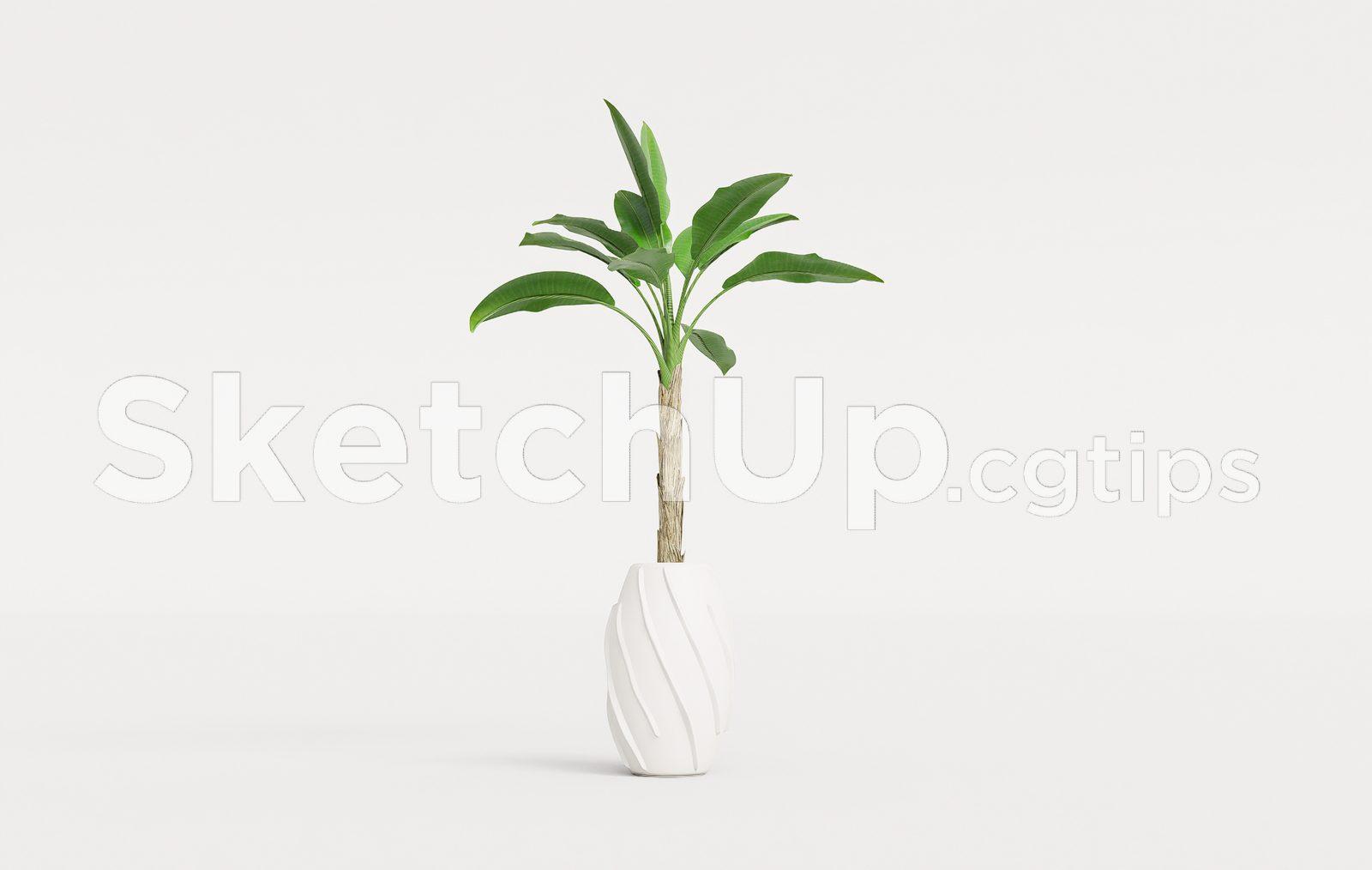 Plant