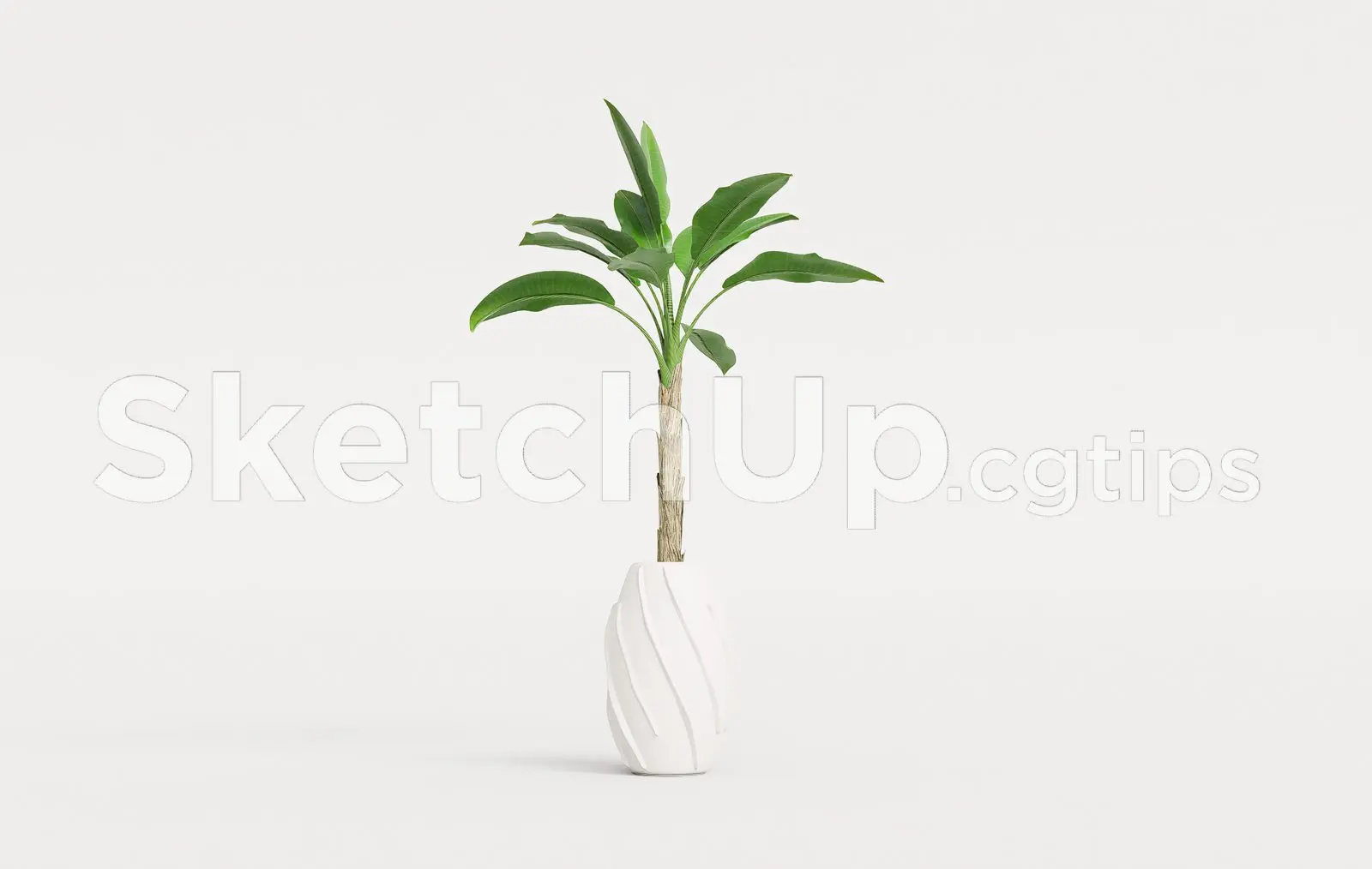 Plant — preview 1 (cgtips)