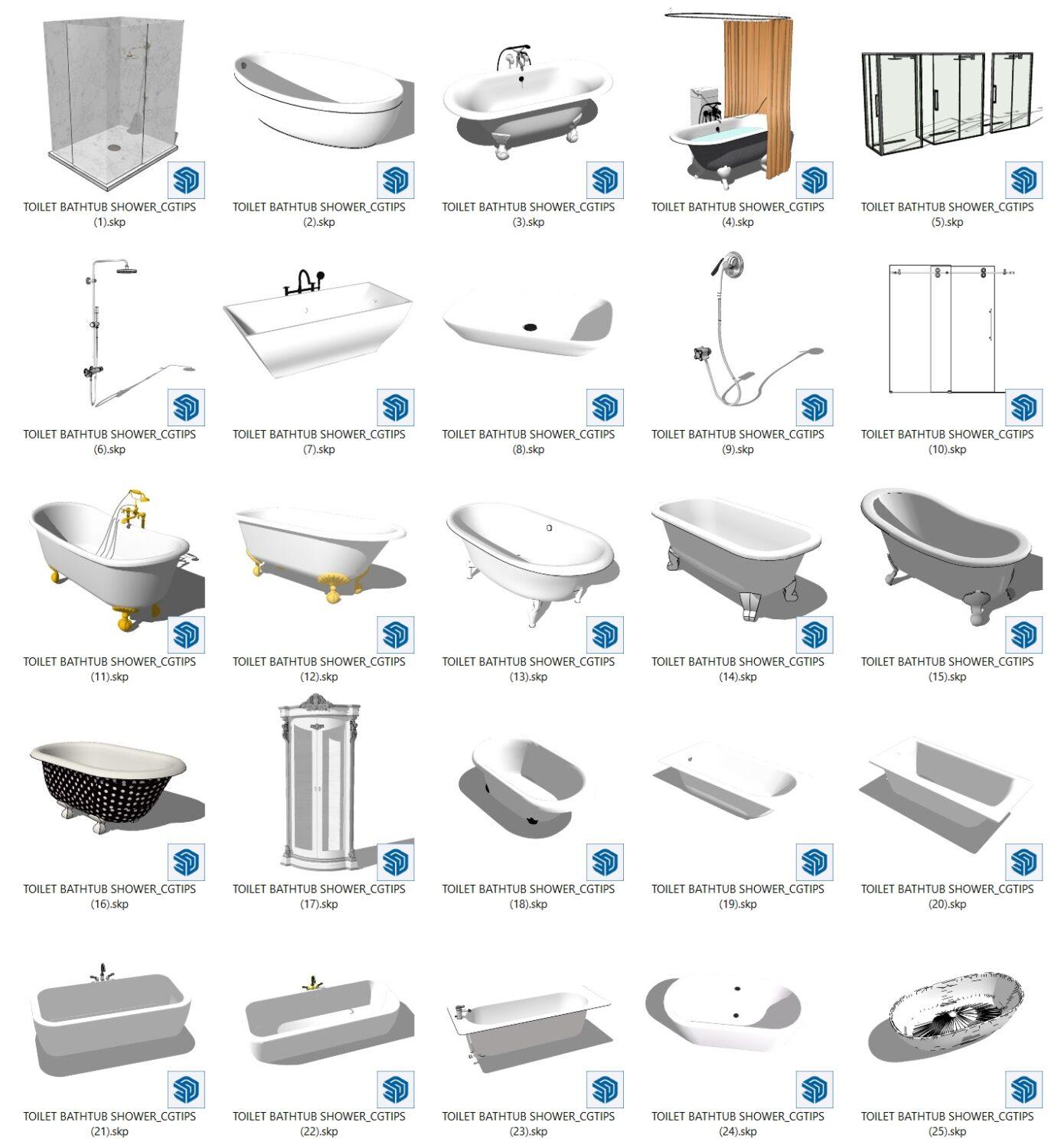 Toilet and Bathtub Shower