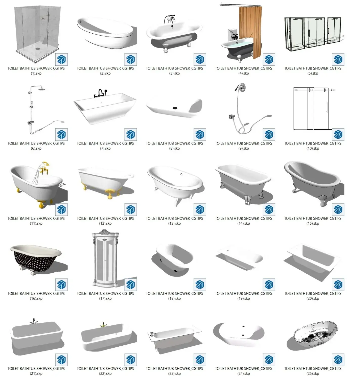 Toilet and Bathtub Shower