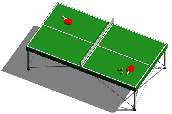 Ping Pong Table