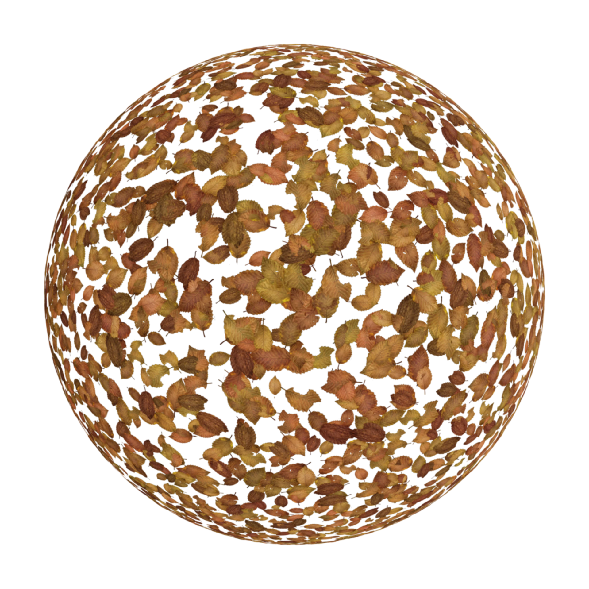 Scattered Leaves 001