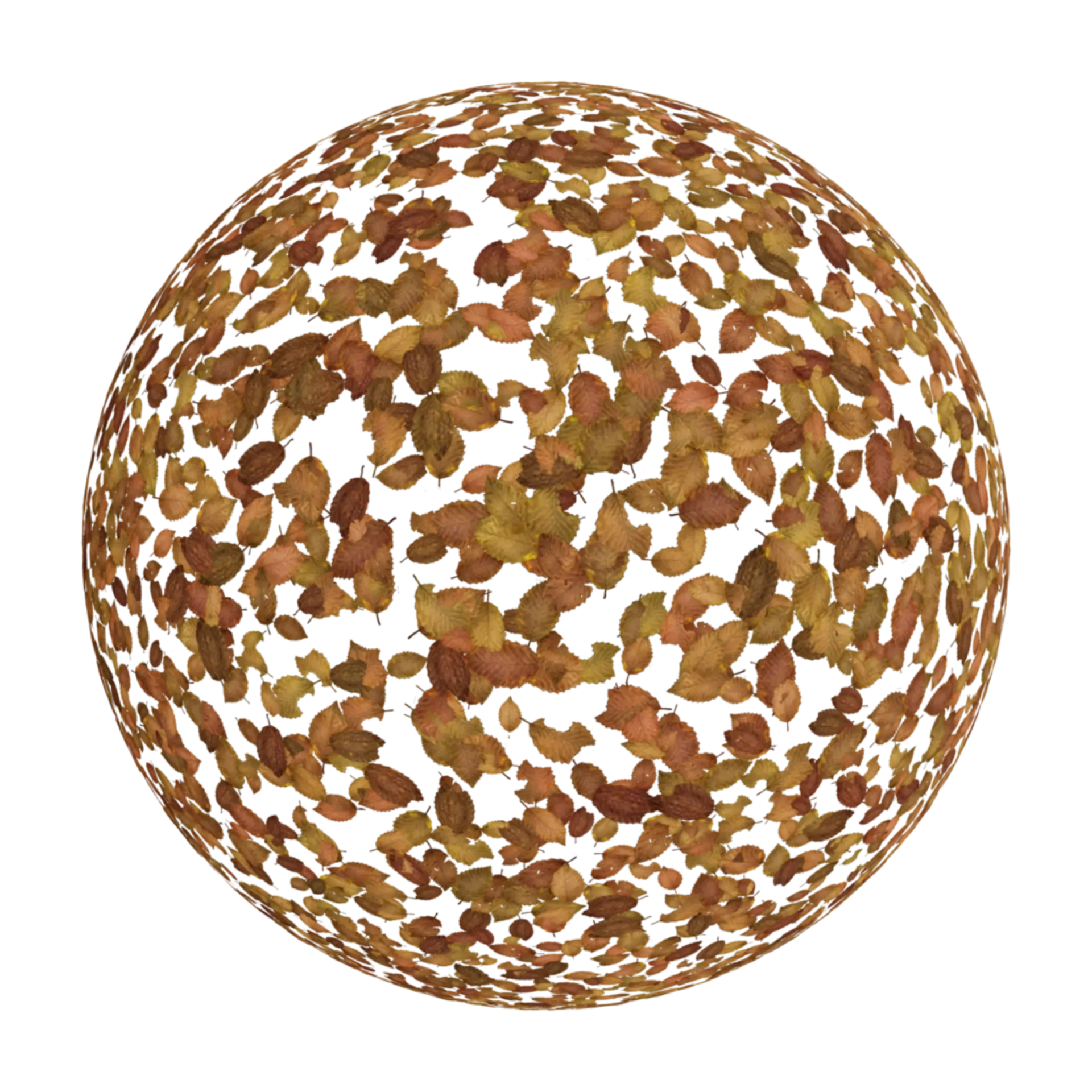 Scattered Leaves 001
