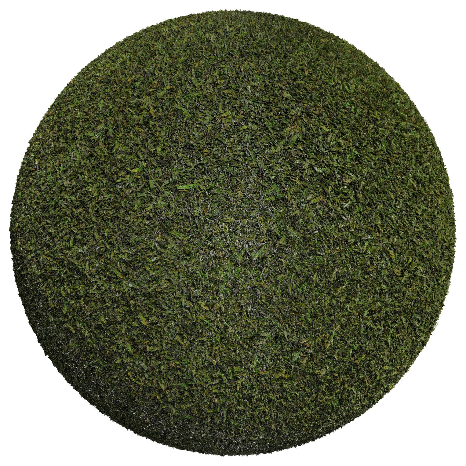 Grass 003
