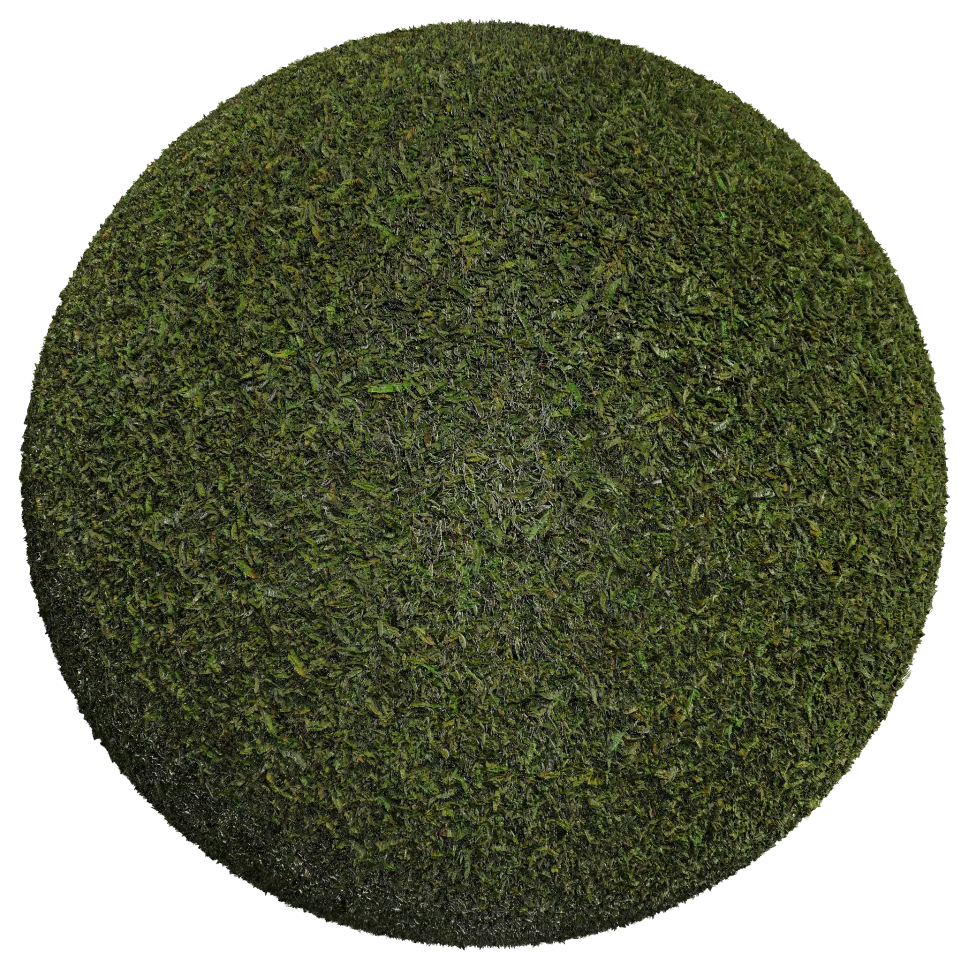 Grass 003