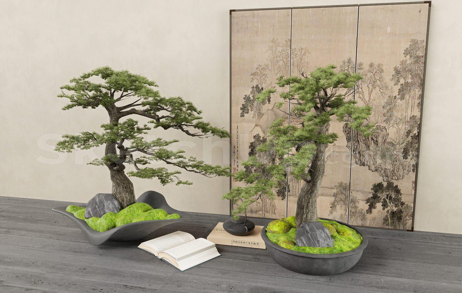 BonSai Tree