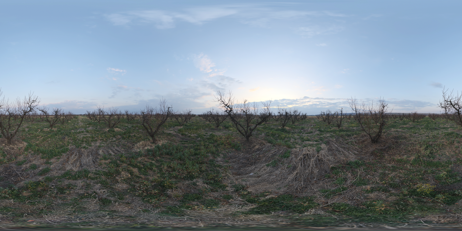 Winter Orchard