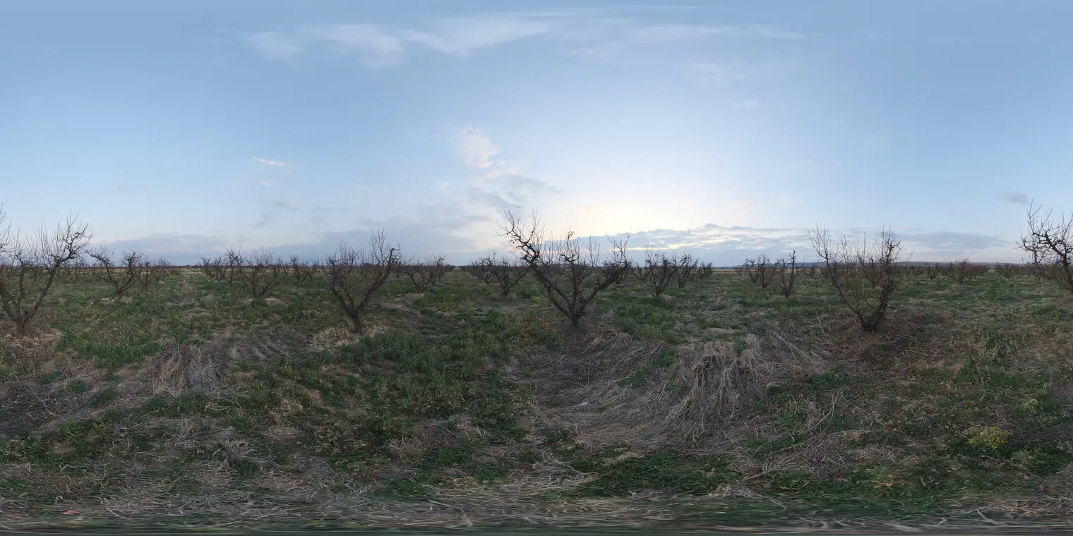 Winter Orchard — preview 1, by Dimitrios Savva, Jarod Guest (Poly Haven, CC0)