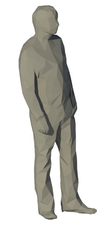 Person Male Standing
