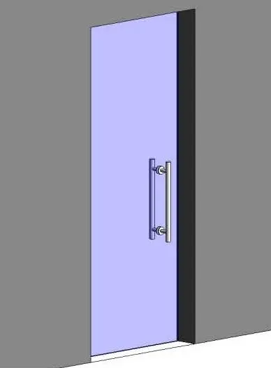 Frameless Glass Door